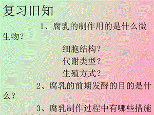 制作泡菜并检测亚硝酸盐含量使用.ppt