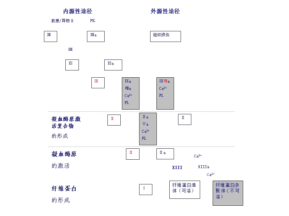 凝血、抗凝、溶栓与检测.ppt_第3页