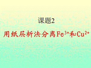 实验化学-用纸层析法分离铁离子和铜离子.ppt