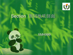 利用Section-图切地质剖面.ppt