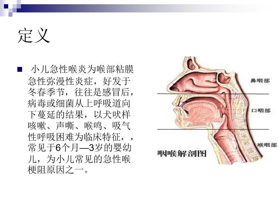 小儿急性喉炎的护理.ppt_第2页