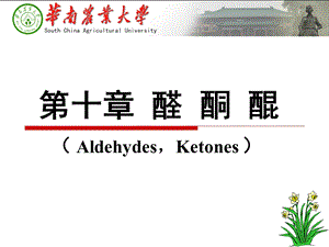 第十章醛酮醌.ppt