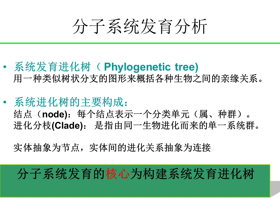 系统进化树的构建图文.ppt_第3页