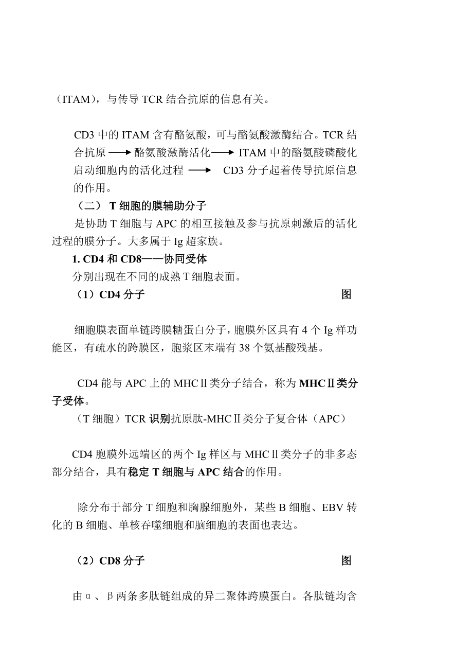 1011章特异性免疫细胞讲稿.doc_第3页