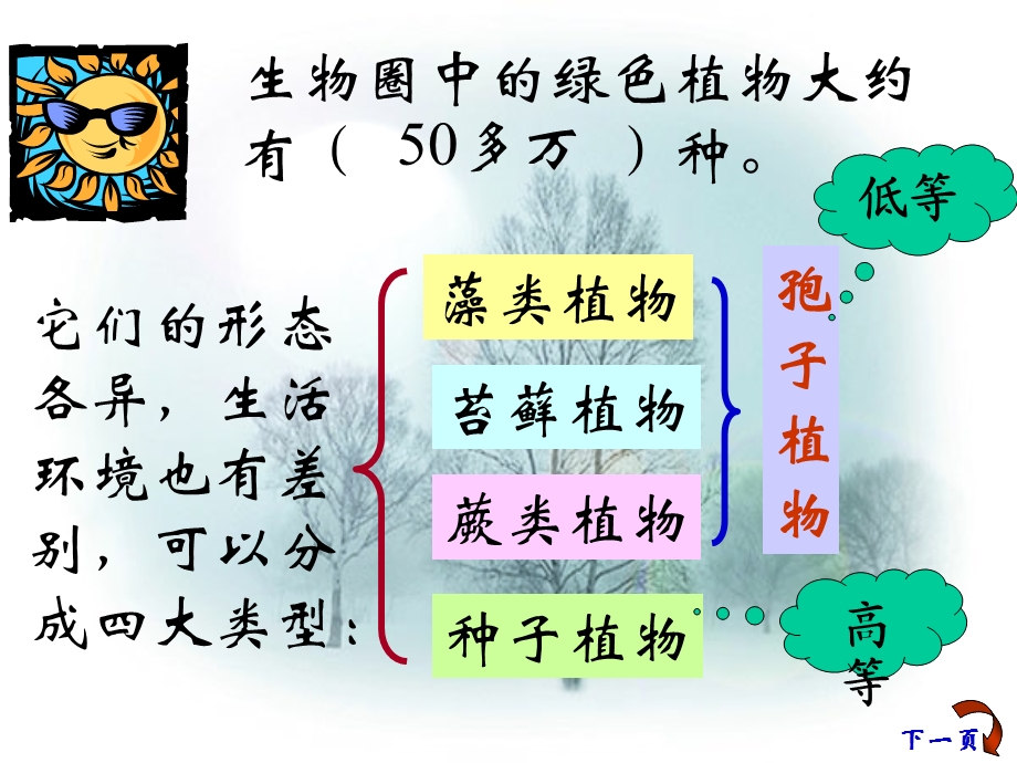 初一生物_种子植物课件.ppt_第2页