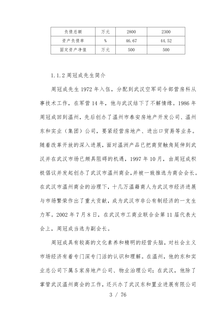 公司项目策划初步可行性研究报告.doc_第3页