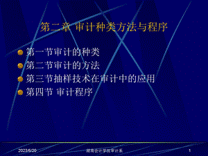 审计种类、方法和程序.ppt