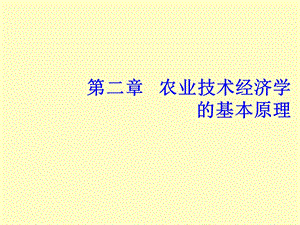 农业技术经济学的基本原理.ppt