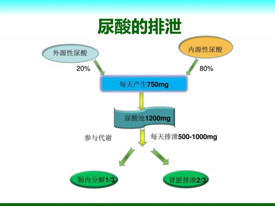 高尿酸血症最不应忽视的健康杀手痛风患教图文.ppt.ppt_第3页