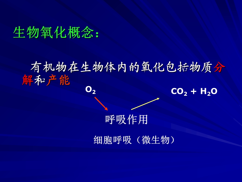 刘老师第八章生物氧化.ppt_第3页