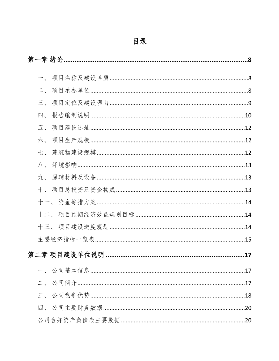 乌鲁木齐游戏游艺设备项目可行性研究报告.docx_第2页