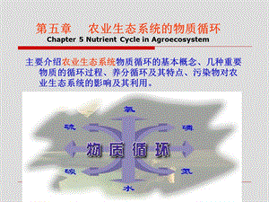 农业生态系统的物质循环.ppt