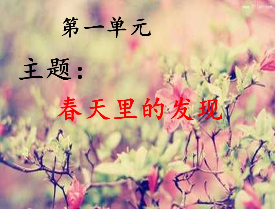 同步阅读《花的学校》.ppt_第2页