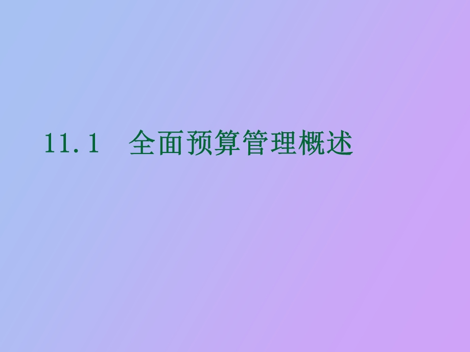 全面预算会计补充.ppt_第3页