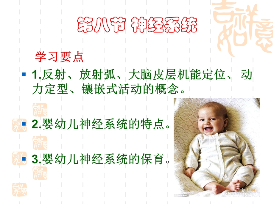 婴幼儿神经系统.ppt_第1页