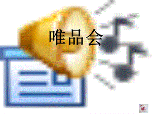 唯品会 (电子商务方面的PPT).ppt