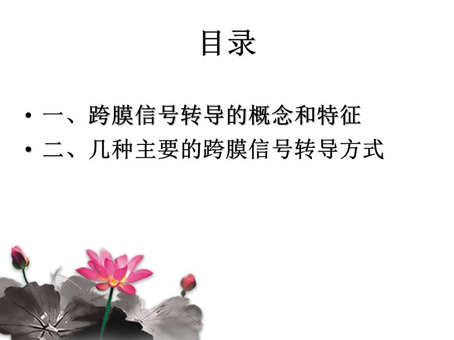 细胞的跨膜信号传导.ppt_第2页