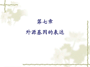 外源基因的表达.ppt