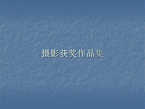 摄影获奖作品集.ppt