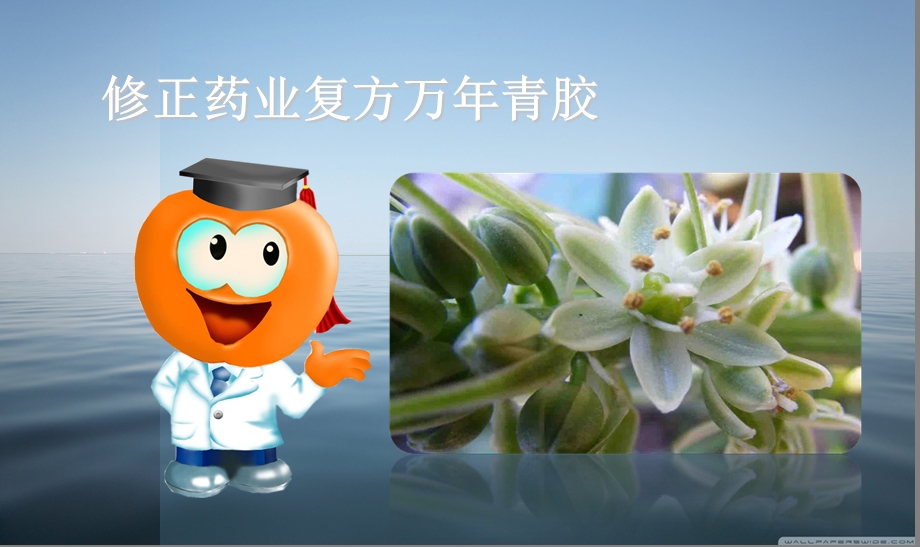 修正药业复方万年青科室.ppt_第1页