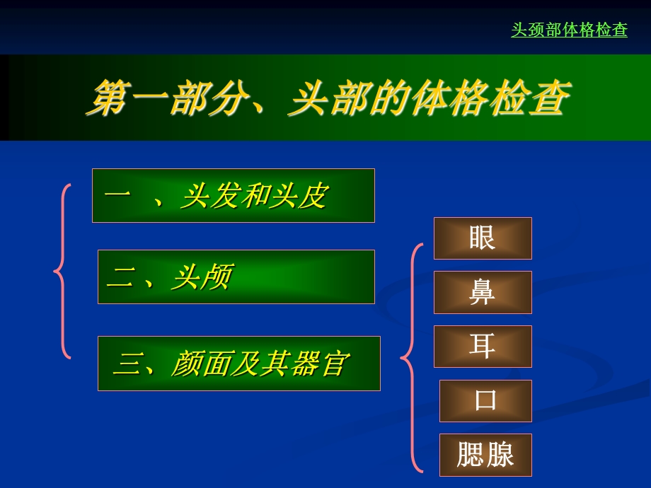 头颈部体格检查(经典).ppt_第3页