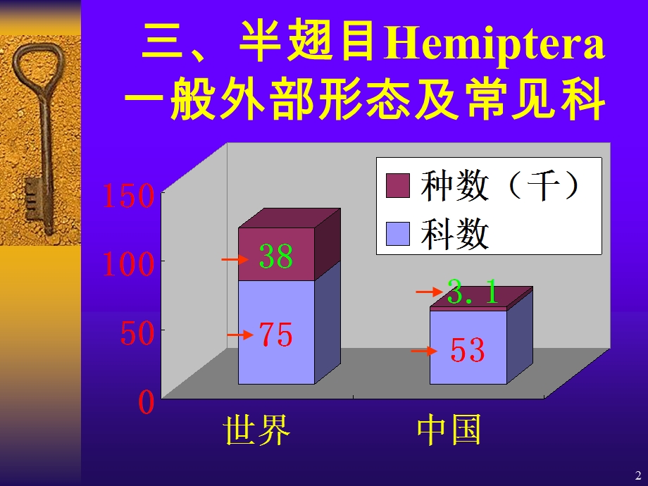 农业昆虫鉴定半.ppt_第2页