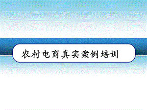 农业电商真实案例培训农村电子商务案例分析.ppt