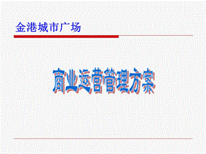 商业运营管理公司运营方案.ppt