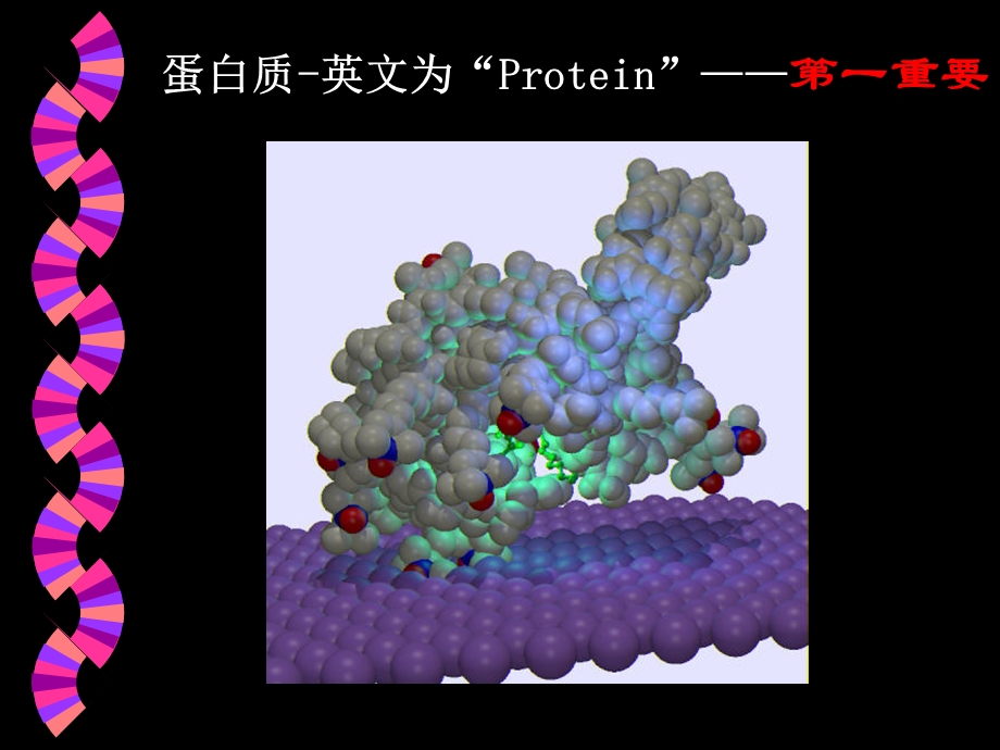 刘老师第三章蛋白质化学(1-3节).ppt_第3页