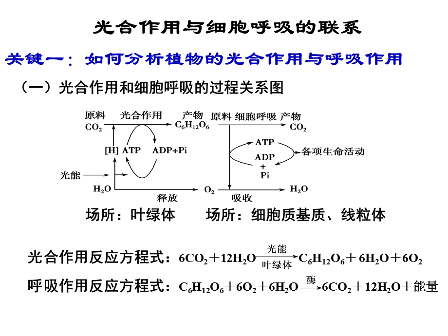 光合作用与细胞呼吸的关系.ppt_第3页