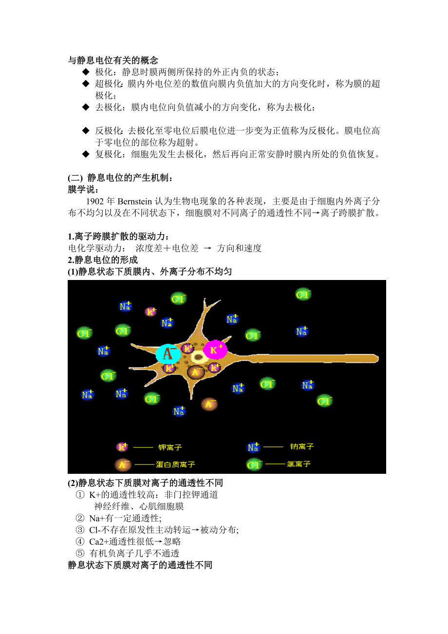 第三节细胞的电活动.doc_第3页