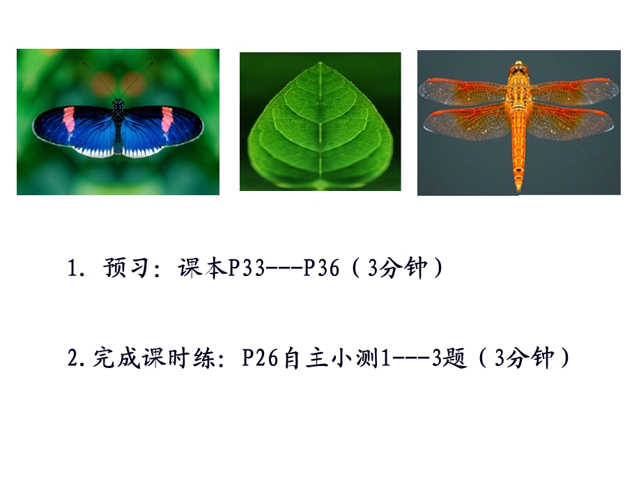 函数奇偶性第一课时优质课评选课件.ppt_第3页