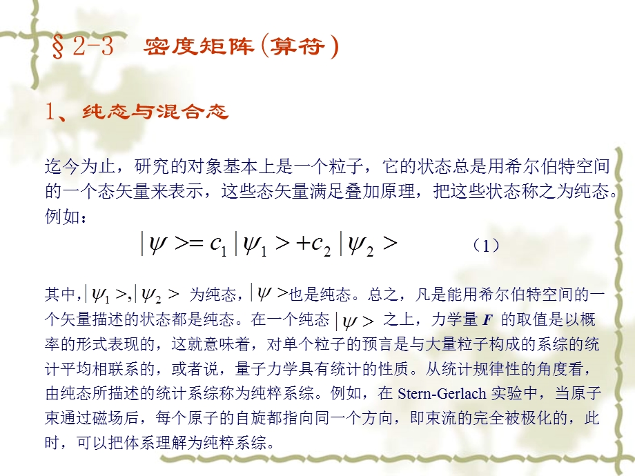 密度矩阵相关计算.ppt_第2页