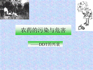 农药的污染与危害详解.ppt