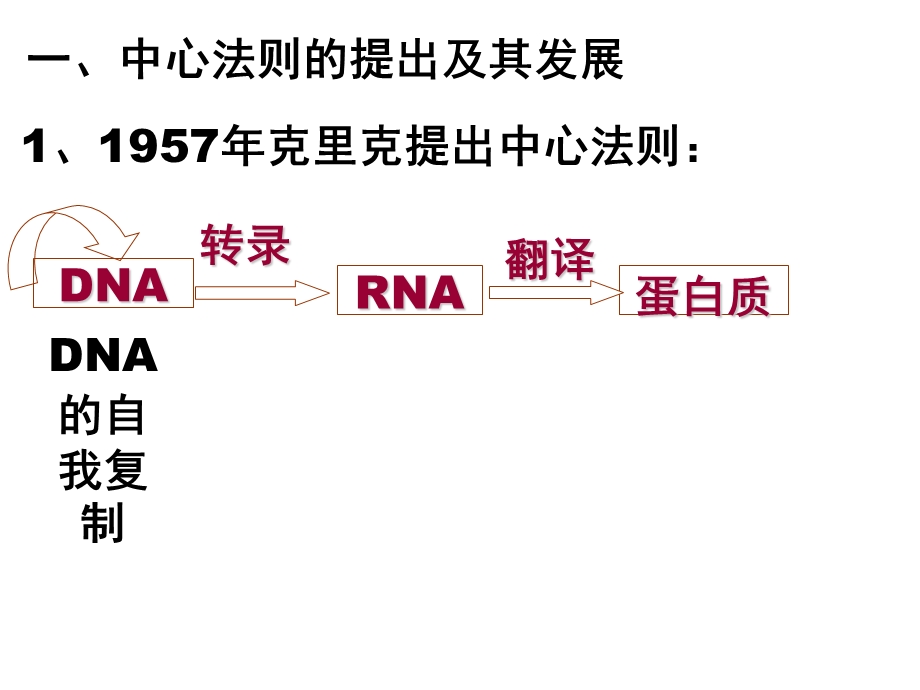 第四章第二节基因对性状的控制.ppt_第2页