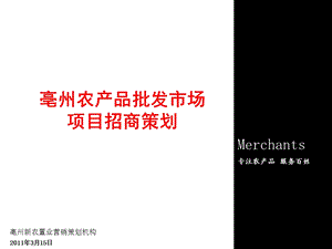 农产品公司招商营销策划.ppt