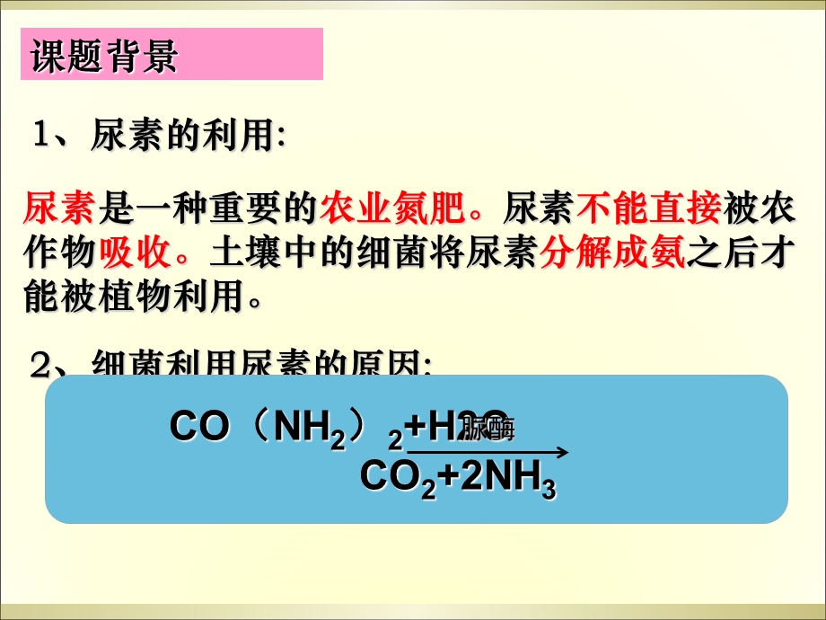 土壤中分解尿素的细菌的分离和计数.ppt_第2页