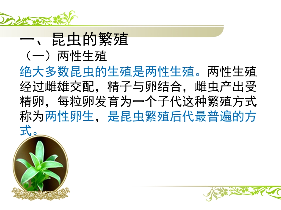 昆虫的繁殖方式.ppt_第2页