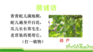 我要的是葫芦-(部编版二年级语文).ppt