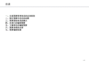 全面预算管理体系的总体框架要点.ppt