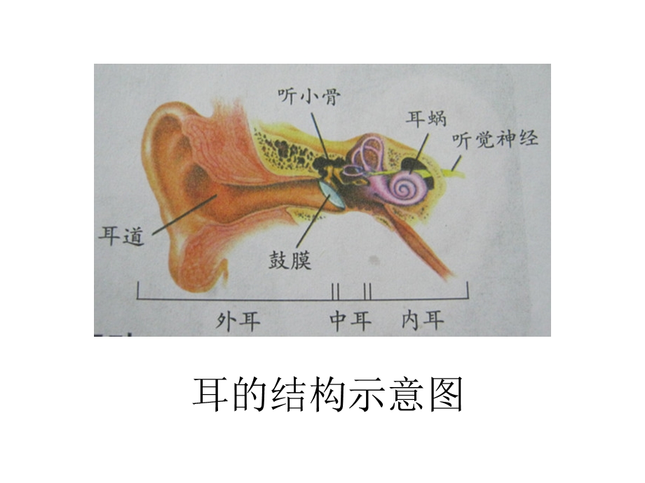 四年级科学上册《保护我们的听力》PPT.ppt_第1页