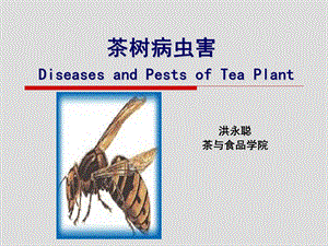 农业昆虫学基础知识6学时第三节.ppt