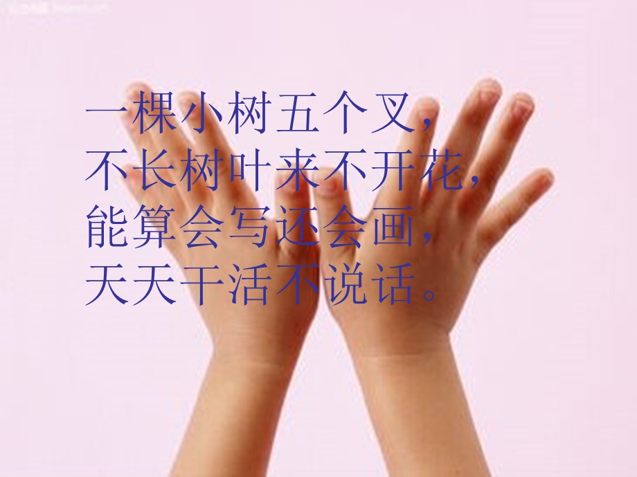 幼儿园中班区分左右.ppt_第3页