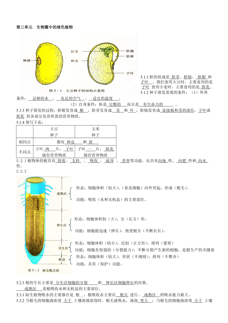 七年级生物(苏教版)上学期知识点总结(有答案).doc_第3页