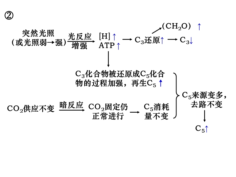 光照与CO2浓度的变化对C3、C5等含量的影响.ppt_第2页