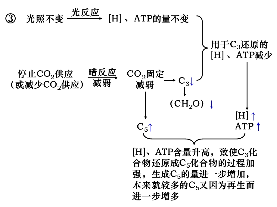 光照与CO2浓度的变化对C3、C5等含量的影响.ppt_第3页