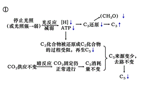 光照与CO2浓度的变化对C3、C5等含量的影响.ppt