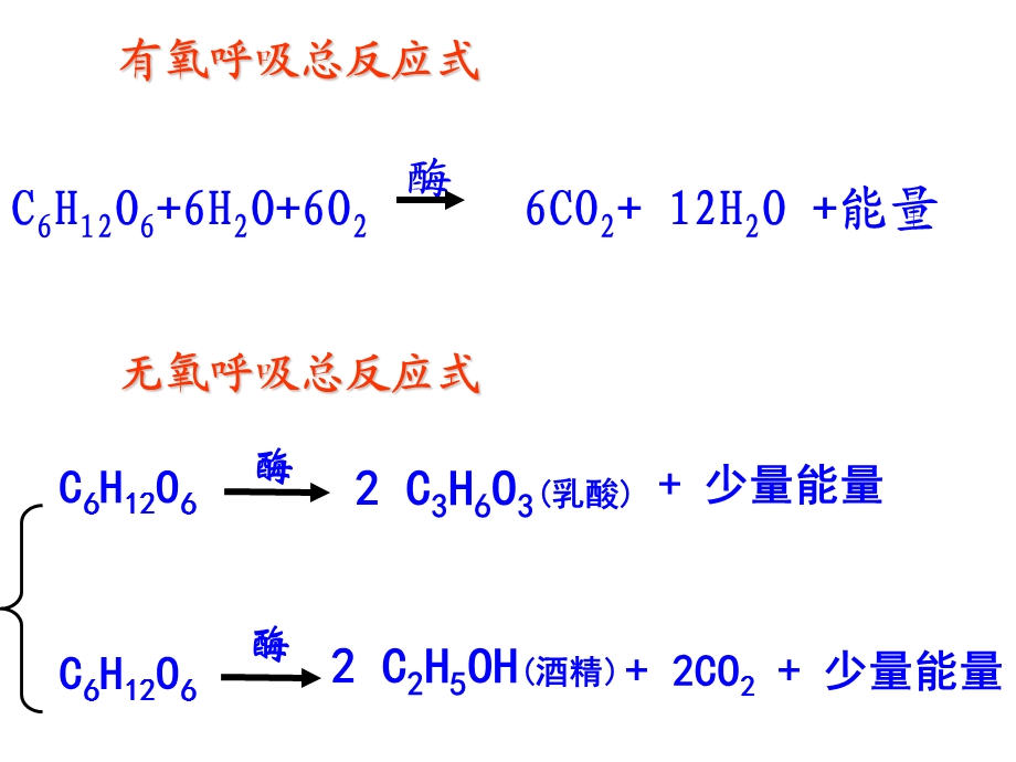 影响细胞呼吸的因素和细胞呼吸方式的测定.ppt_第2页