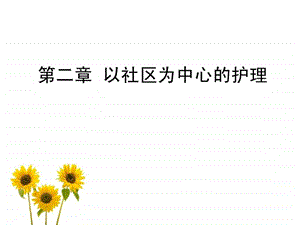 第二章以社区为中心的护理.ppt