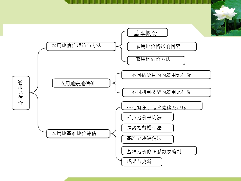 农用地估价技术及案例.ppt_第3页